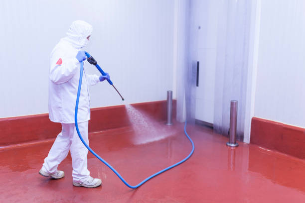 Best Pre-Holiday Cleaning  in Valley Green, PA